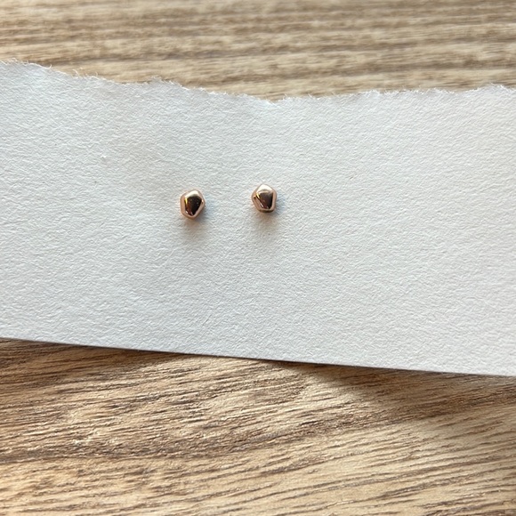 Bario Neal Bog Studs, 14KT Rose Gold - Picture 5 of 6